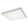 Rabalux - LED Surface-mounted panel LED/40W/230V 4000K 60x60 cm