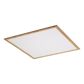 Rabalux - LED Surface-mounted panel LED/40W/230V 4000K