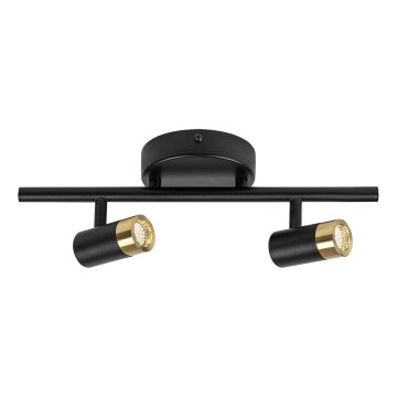 Rabalux - LED Wall spotlight 2xLED/3W/230V 4000K