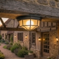 Rabalux - Outdoor ceiling light 1xE27/100W/230V IP44 black
