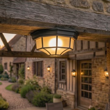 Rabalux - Outdoor ceiling light 1xE27/100W/230V IP44 black