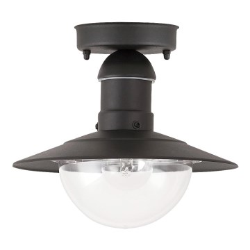 Rabalux - Outdoor ceiling light 1xE27/60W