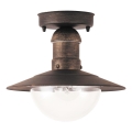 Rabalux - Outdoor ceiling light 1xE27/60W