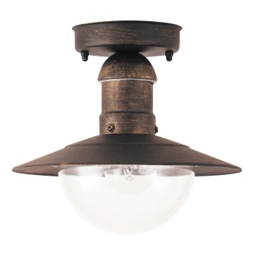 Rabalux - Outdoor ceiling light 1xE27/60W