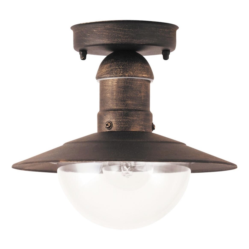 Rabalux - Outdoor ceiling light 1xE27/60W