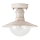 Rabalux - Outdoor ceiling light 1xE27/60W
