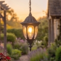 Rabalux - Outdoor pendant light 1xE27/60W/230V IP43 black
