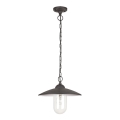 Rabalux - Outdoor pendant light 1xE27/60W