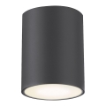 Rabalux - Outdoor spotlight 1xGU10/35W/230V round IP54