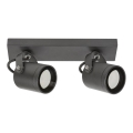 Rabalux - Outdoor wall spotlight 2xGU10/35W/230V IP44