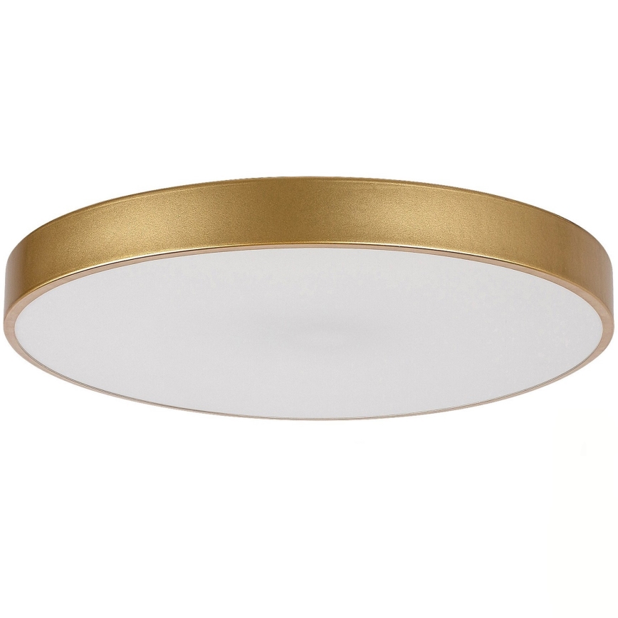 Rabalux - Replacement glass TESIA white