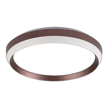 Rabalux - Replacement Part for FONTANA Ceiling Light