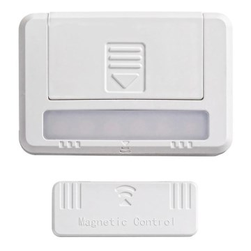 Rabalux - SET 2xLED Closet lighting LED/0,5W/3V