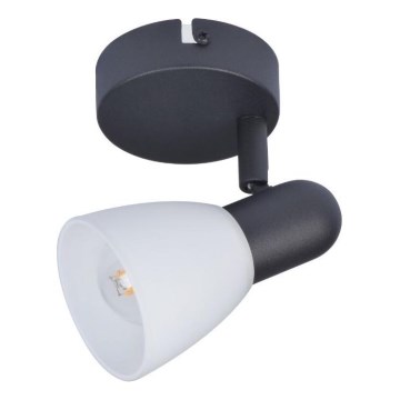 Rabalux - Spotlight 1xE14/40W/230V