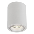 Rabalux - Spotlight 1xGU10/25W/230V round white