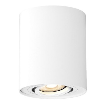 Rabalux - Spotlight 1xGU10/42W/230V white