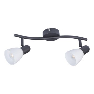 Rabalux - Spotlight 2xE14/40W/230V