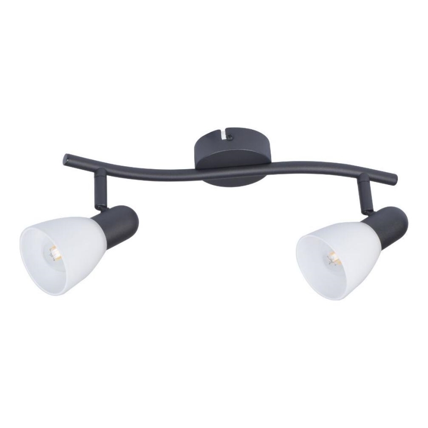 Rabalux - Spotlight 2xE14/40W/230V