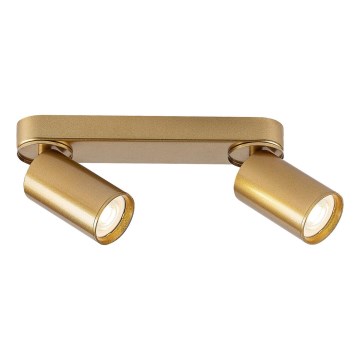 Rabalux - Spotlight 2xGU10/5W/230V gold