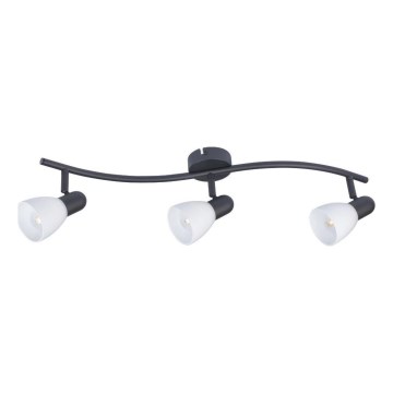 Rabalux - Spotlight 3xE14/40W/230V