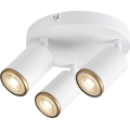 Rabalux - Spotlight 3xGU10/15W/230V White