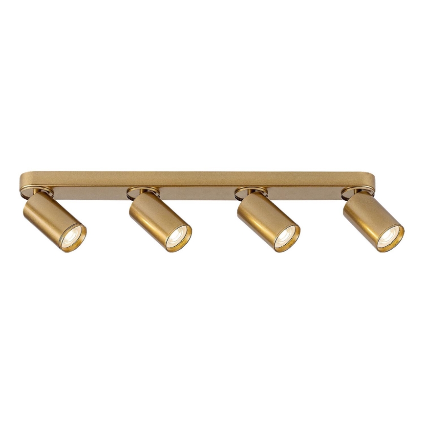 Rabalux - Spotlight 4xGU10/5W/230V gold
