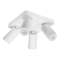Rabalux - Spotlight 4xGU10/7W/230V white