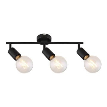 Rabalux - Spotlight LAMAR 3xE27/40W/230V