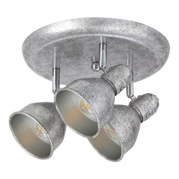 Rabalux - Spotlight THELMA 3xE14/40W/230V