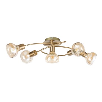 Rabalux - Surface-mounted chandelier 5xE14/40W/230V golden