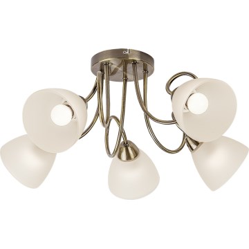 Rabalux - Surface-mounted chandelier 5xE27/60W/230V