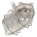 RADUS Outdoor Ceiling Light 1x E27/60W/230V IP54, White