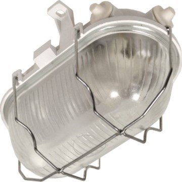 RADUS Outdoor Ceiling Light 1x E27/60W/230V IP54, White