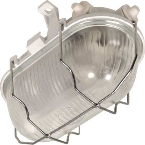 RADUS Outdoor Ceiling Light 1x E27/60W/230V IP54, White
