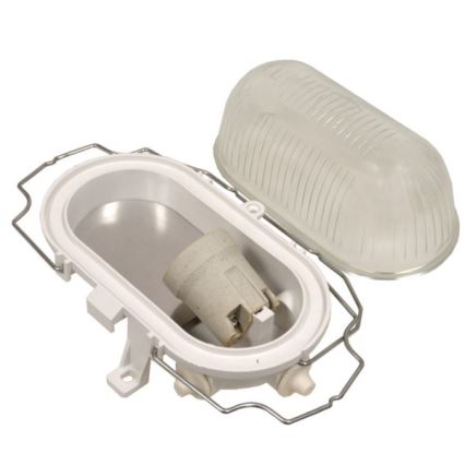 RADUS Outdoor Ceiling Light 1x E27/60W/230V IP54, White