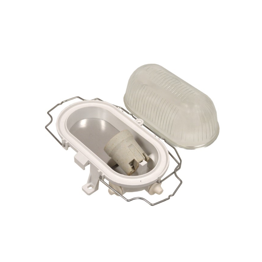 RADUS Outdoor Ceiling Light 1x E27/60W/230V IP54, White