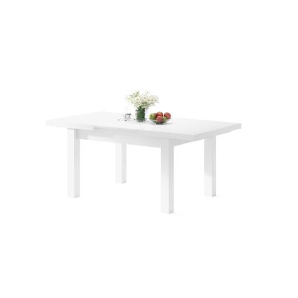 RALF Extendable Dining Table for 12, 120/270 x 90 cm, White