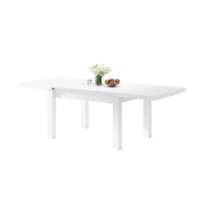 RALF Extendable Dining Table for 12, 120/270 x 90 cm, White