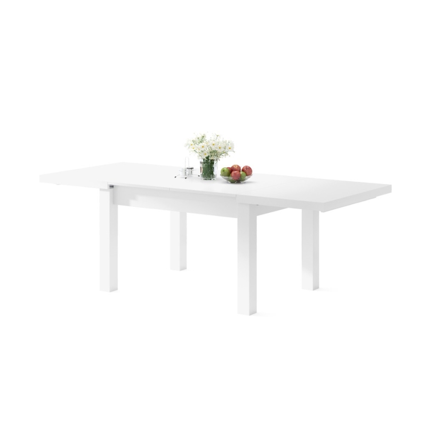 RALF Extendable Dining Table for 12, 120/270 x 90 cm, White