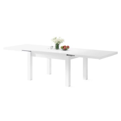 RALF Extendable Dining Table for 12, 120/270 x 90 cm, White