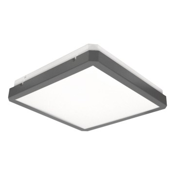 RAVA LED ceiling light with motion and dusk sensor, 38W/230V, 4000K, 41x41 cm, anthracite