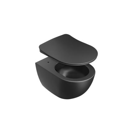 Ravak X01795 - SoftClose Chrome Toilet Seat, Black