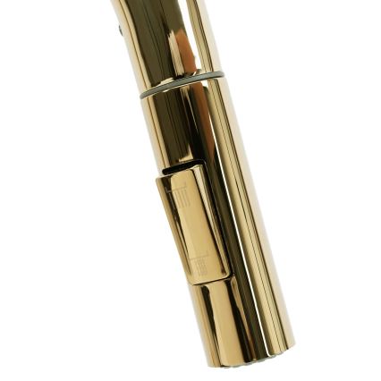 REA-B0669 - FRESH pull-out kitchen faucet, 39.5 cm, gold