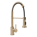 REA-B4821 - COLIN 42.5 cm Brushed Gold Kitchen Faucet with Pull-Out Spray