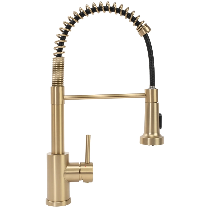 REA-B4821 - COLIN 42.5 cm Brushed Gold Kitchen Faucet with Pull-Out Spray