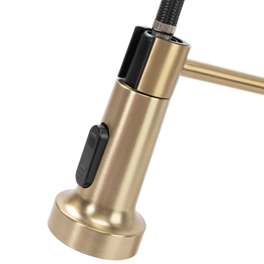REA-B4821 - COLIN 42.5 cm Brushed Gold Kitchen Faucet with Pull-Out Spray