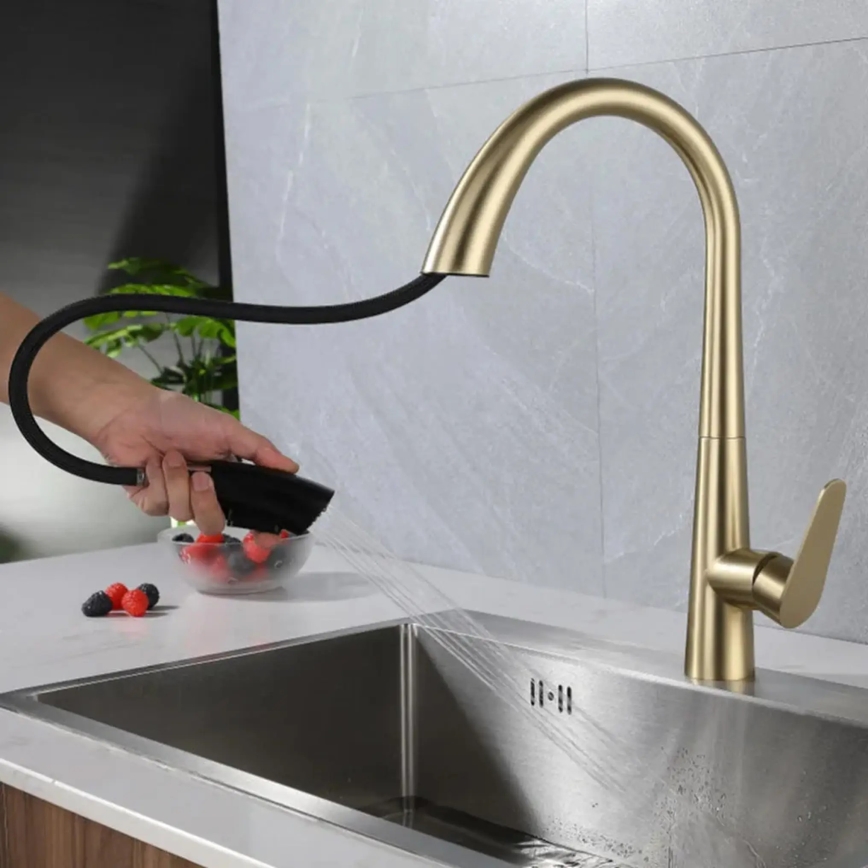 REA-B5312 - ROSS 43 cm Pull-Out Spray Kitchen Faucet, Brushed Gold
