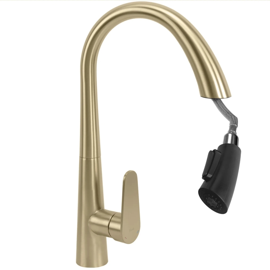REA-B5312 - ROSS 43 cm Pull-Out Spray Kitchen Faucet, Brushed Gold