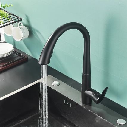 REA-B5313 - ROSS 43 cm Pull-Out Kitchen Faucet, Black