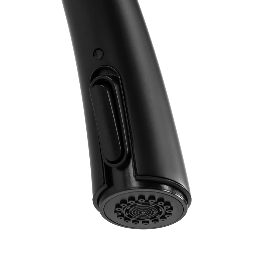 REA-B5313 - ROSS 43 cm Pull-Out Kitchen Faucet, Black